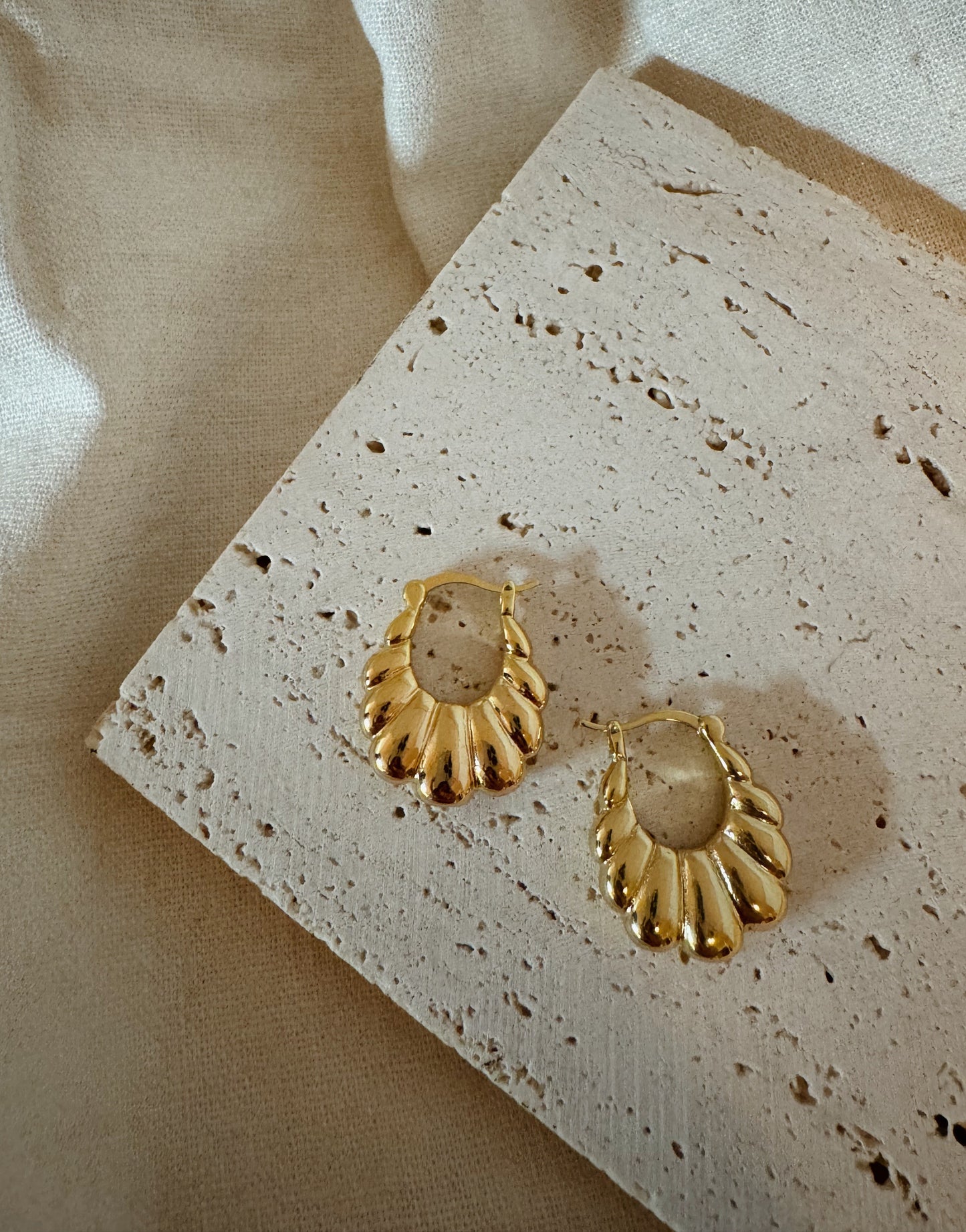 Carmen Hoops