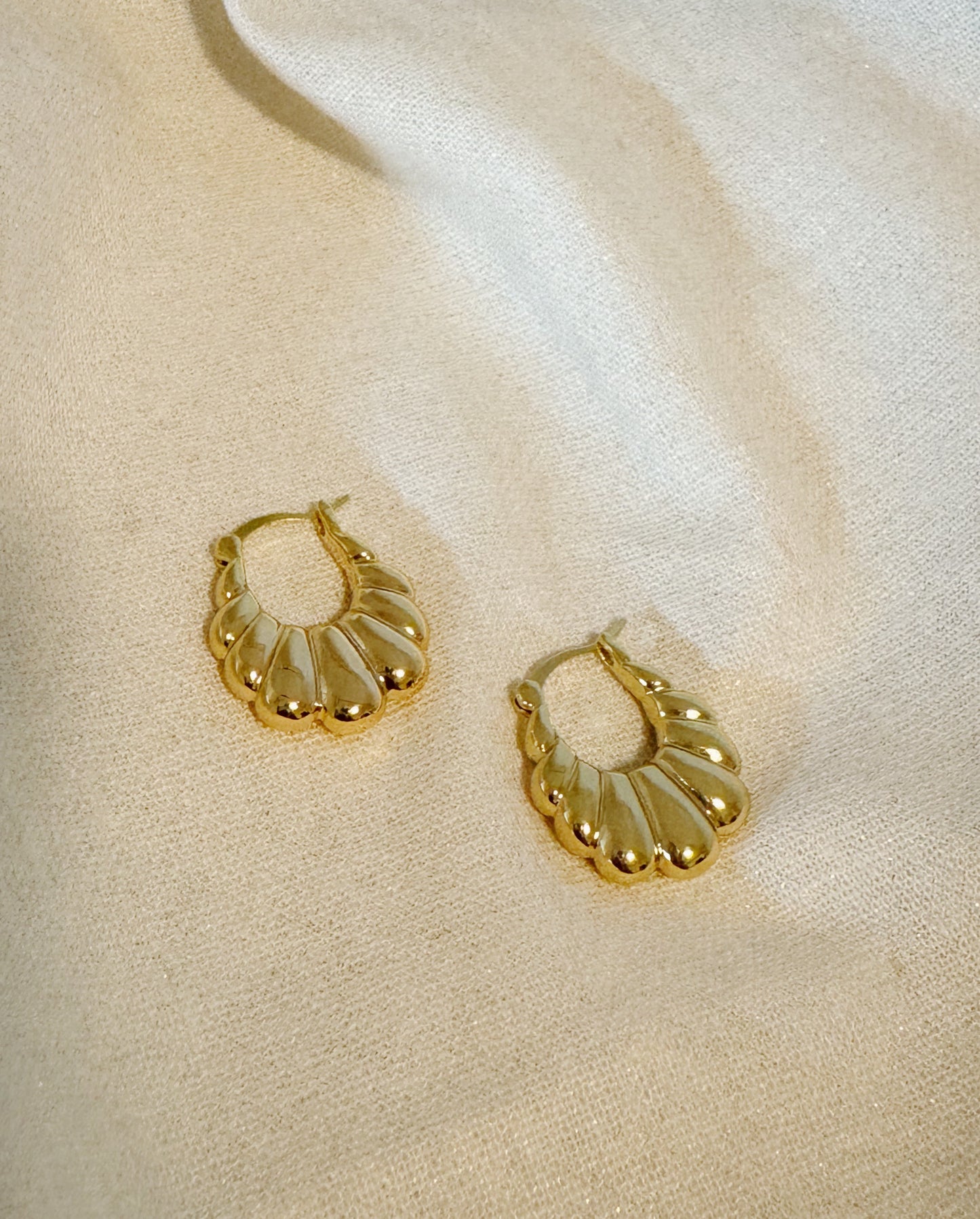 Carmen Hoops