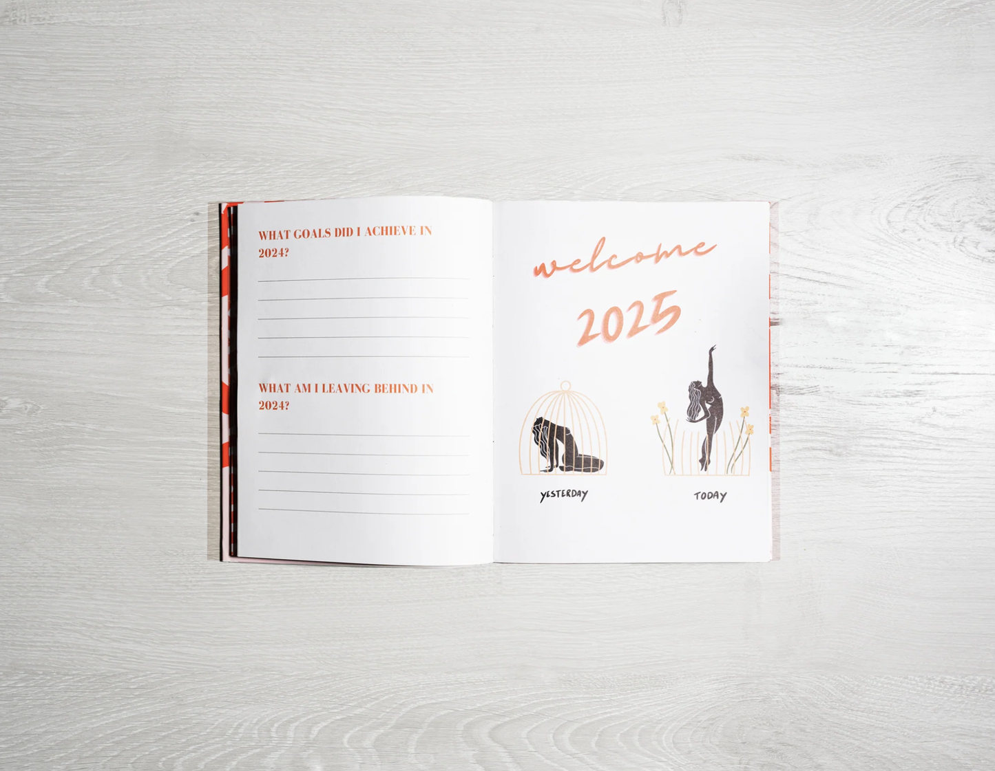 2025 Planner by Danica Gim