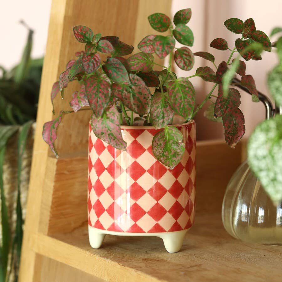 Joy Checkerboard Mini Planter