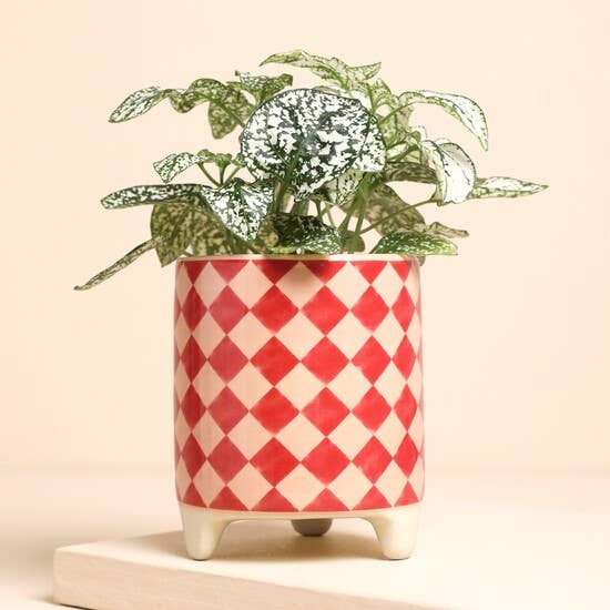 Joy Checkerboard Mini Planter