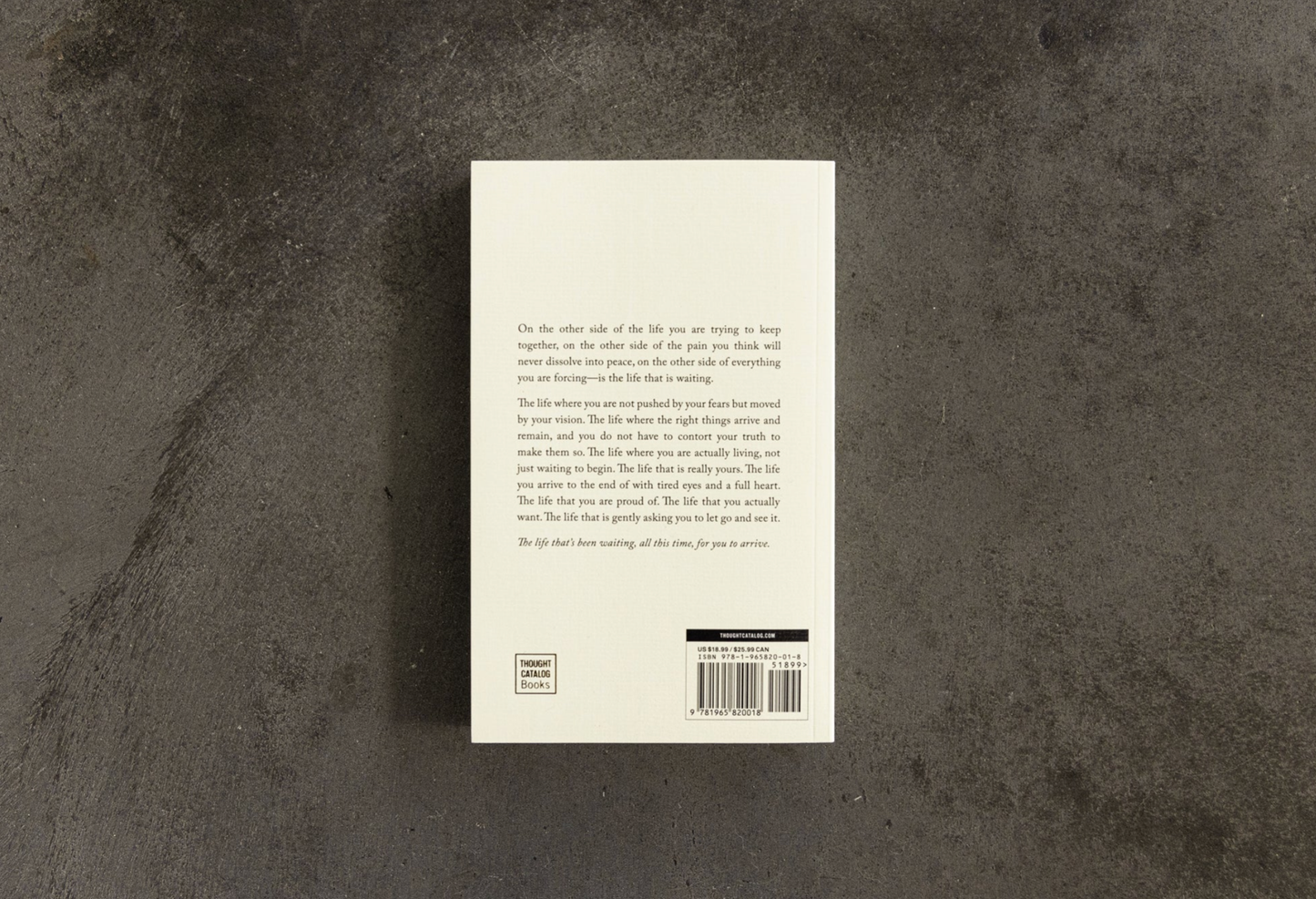 The Life That's Waiting - book
