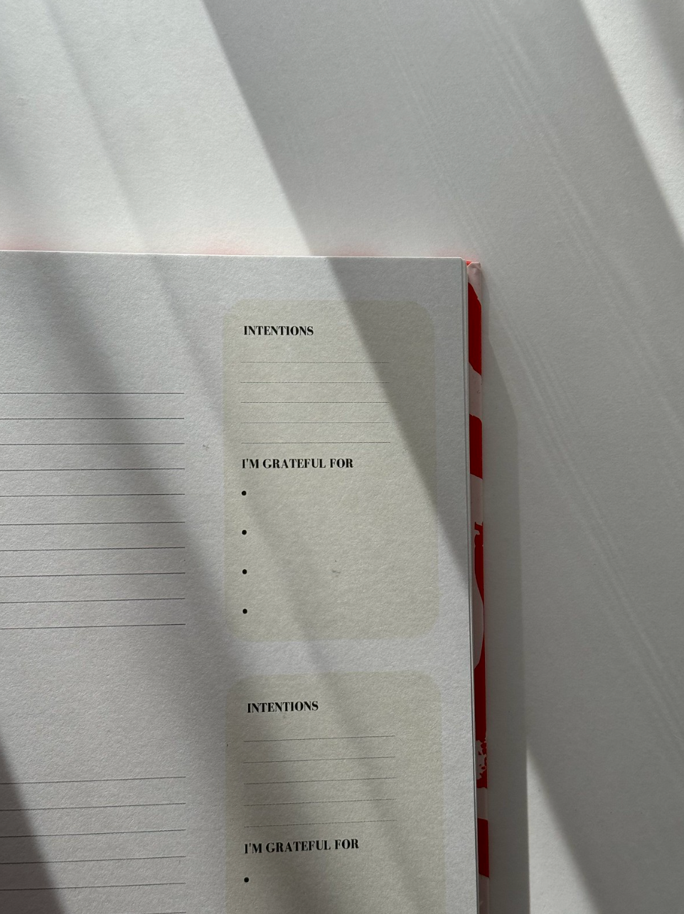 2025 Planner by Danica Gim