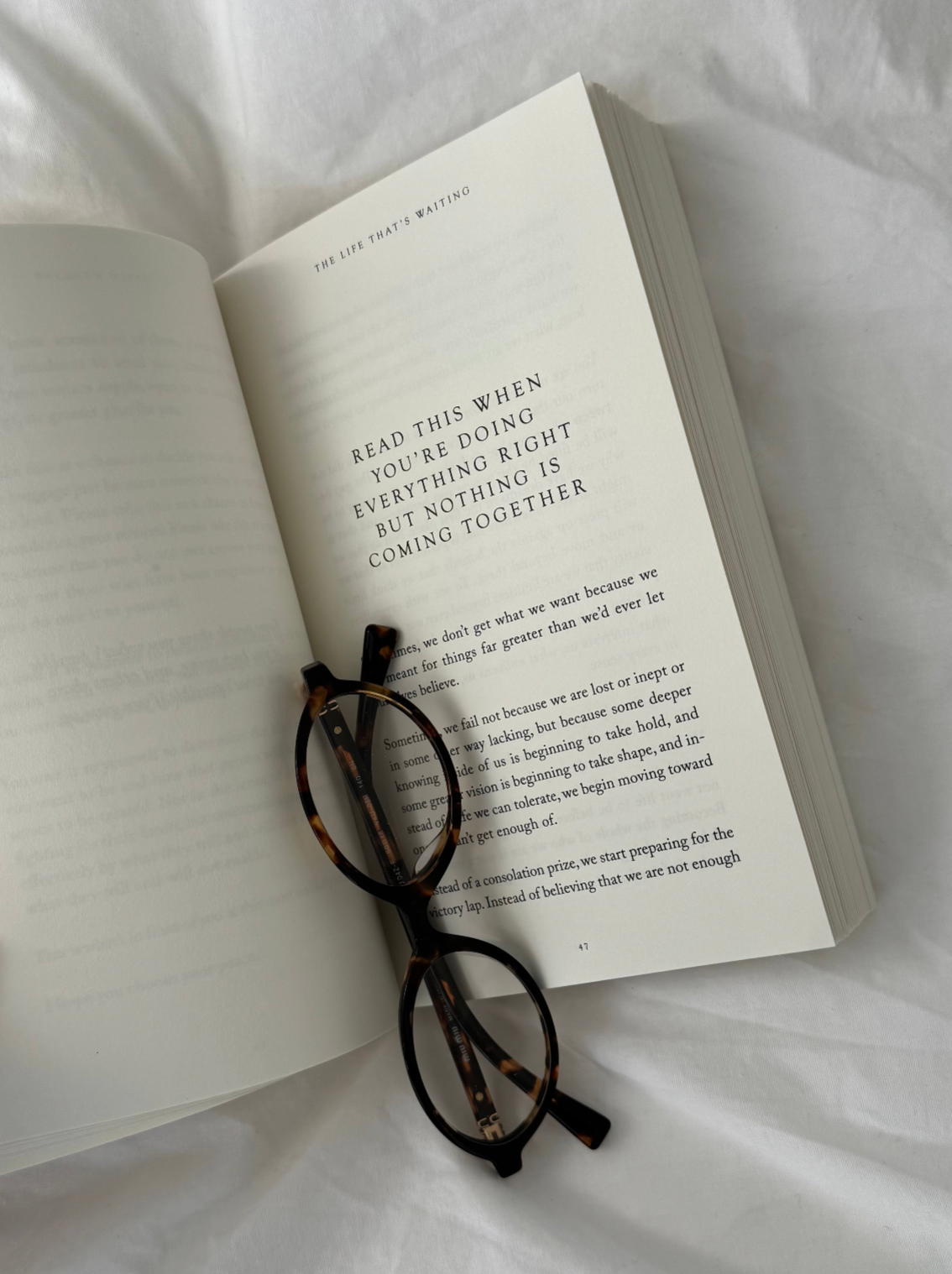 The Life That's Waiting - book