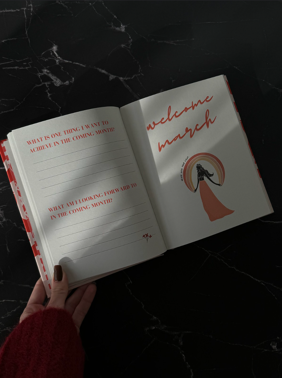 2025 Planner by Danica Gim