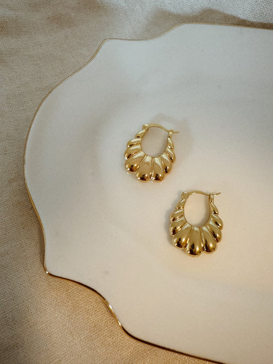 Carmen Hoops