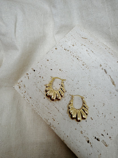 Carmen Hoops