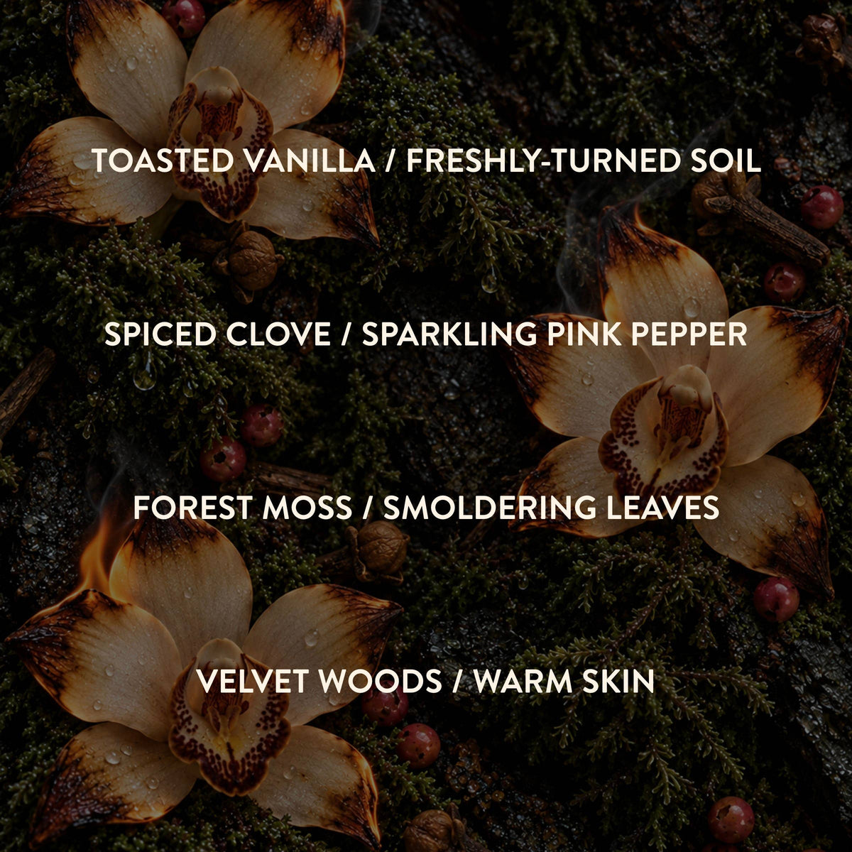 Velvet Pony | Eau De Perfume