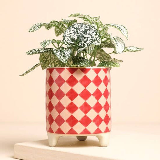 Joy Checkerboard Mini Planter